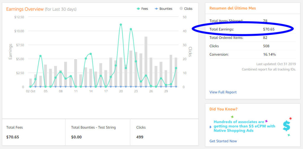 Earnings from Amazon Affiliates