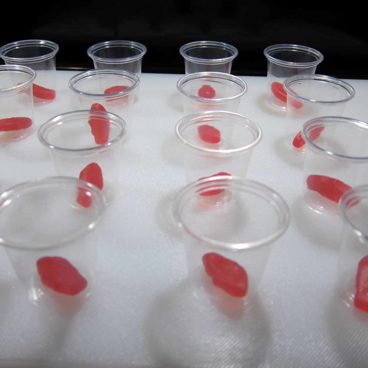 Fishbowl Jello Shots