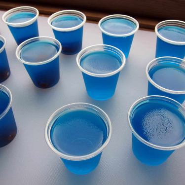 fishbowl jello shots 31