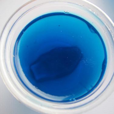 fishbowl jello shots 32