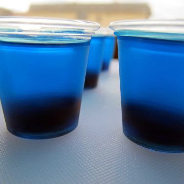 fishbowl jello shots 33