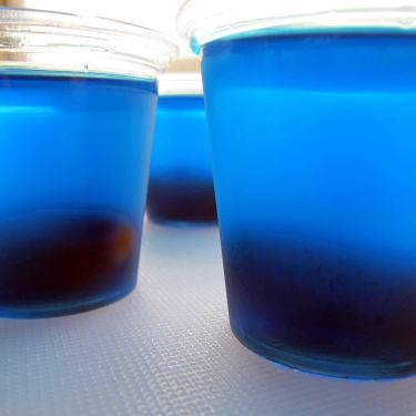 fishbowl jello shots 34