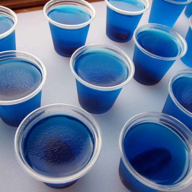 fishbowl jello shots 35