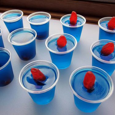 fishbowl jello shots 43